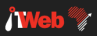 IT Web